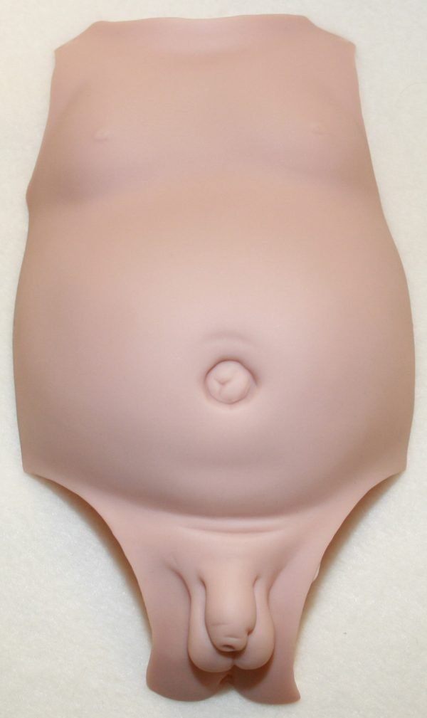 Plaque ventral sexuée garçon