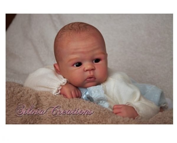 Bailey – Image 3