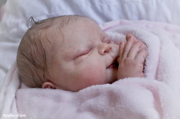 Libby – Image 5