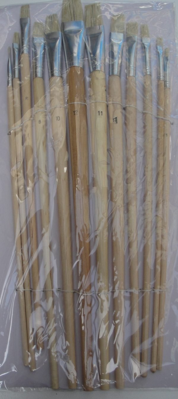 Lot de 12 pinceaux plats