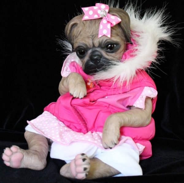Princess Pug Dog – Image 2