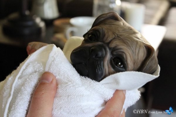 Princess Pug Dog – Image 4