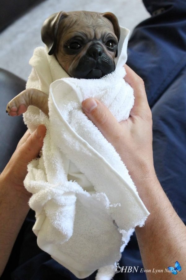 Princess Pug Dog – Image 3