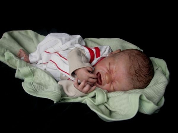Quinton – Image 3