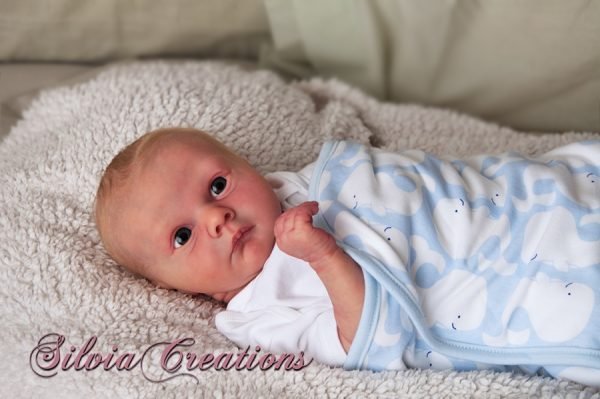 Asher Awake Réalborn – Image 2