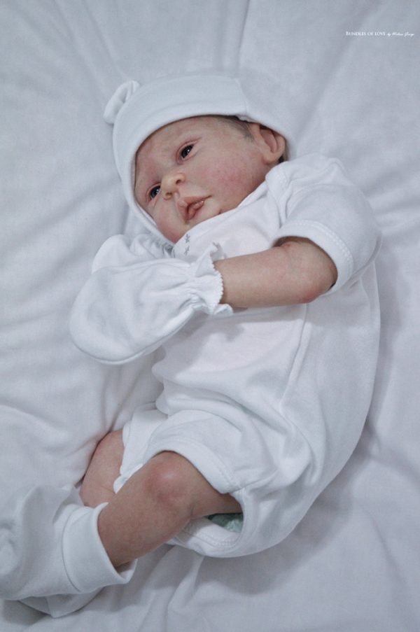 Tristan – Image 3