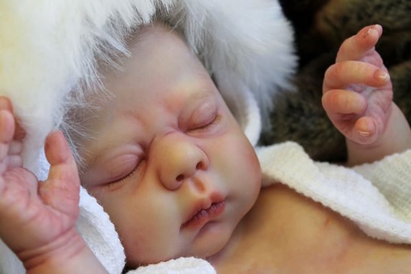 Kit complet Jacelyn – Image 21
